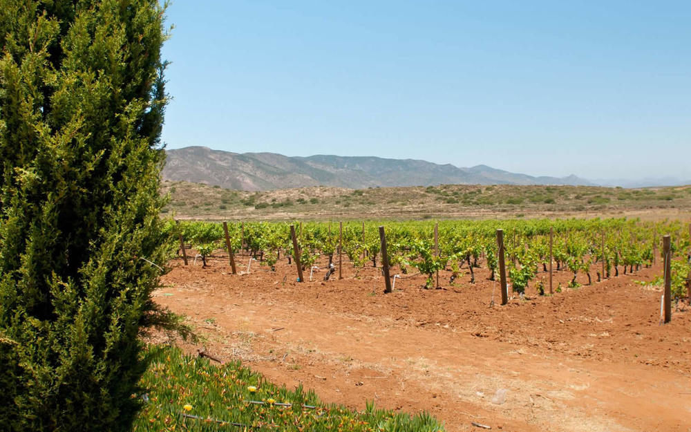 Rancho El Parral Villa San Marcos  Exteriör bild