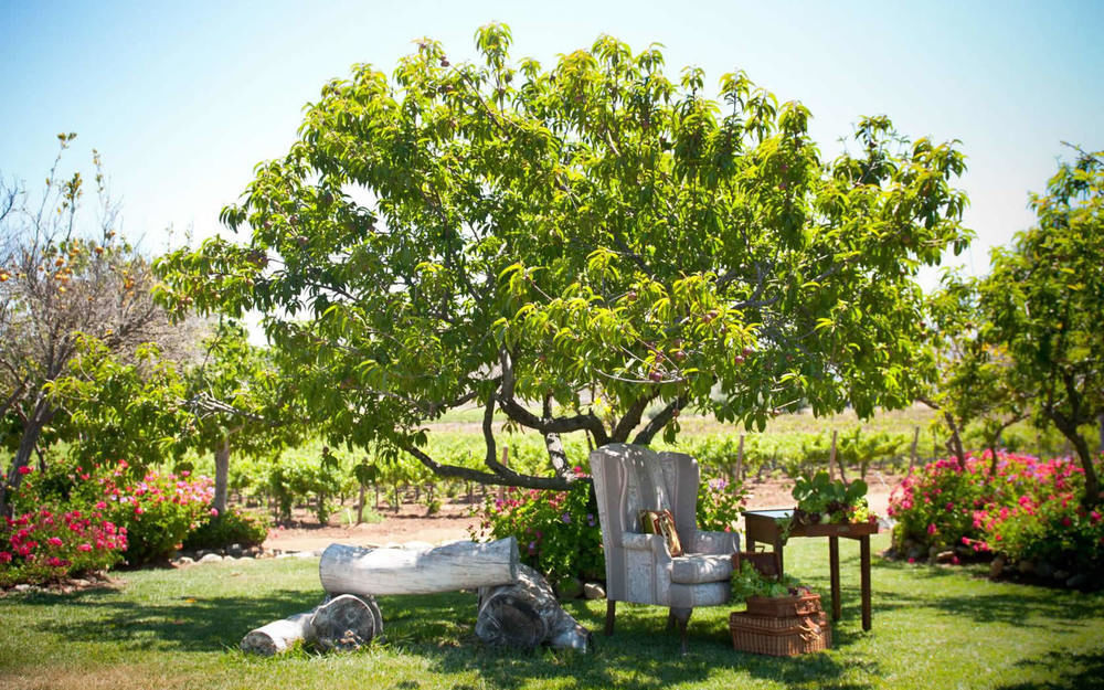 Rancho El Parral Villa San Marcos  Exteriör bild
